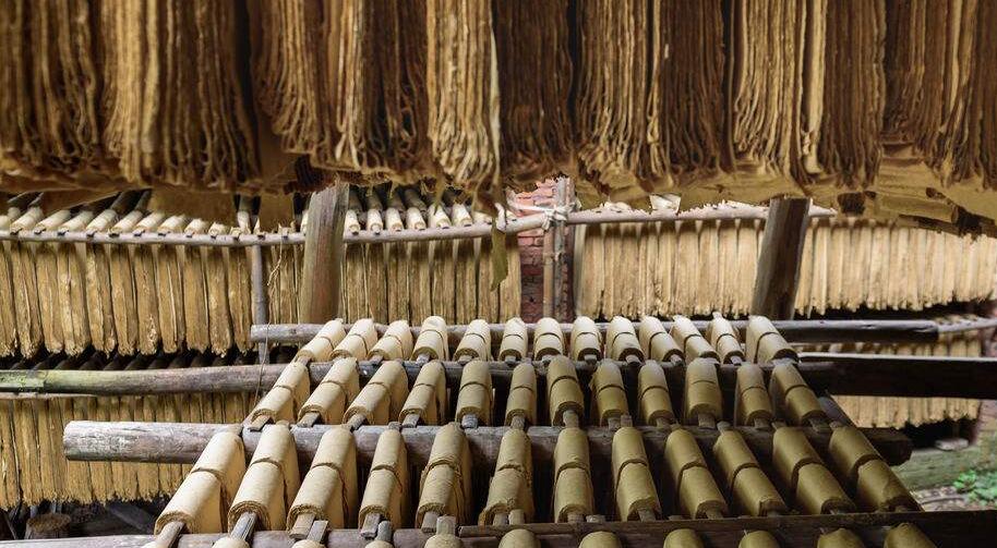 中国纸制品行业发展前景