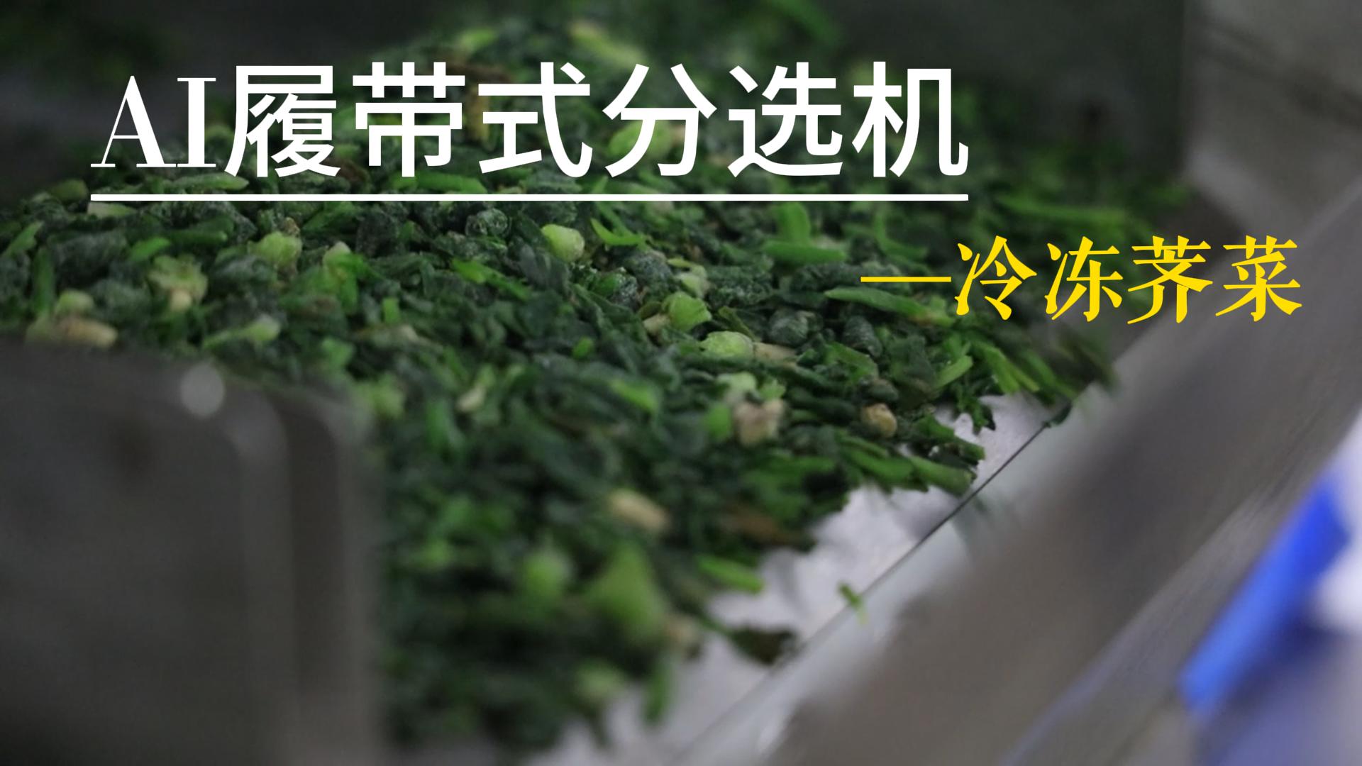 AI履带式分选机-冷冻荠菜（发黄、杂质）
