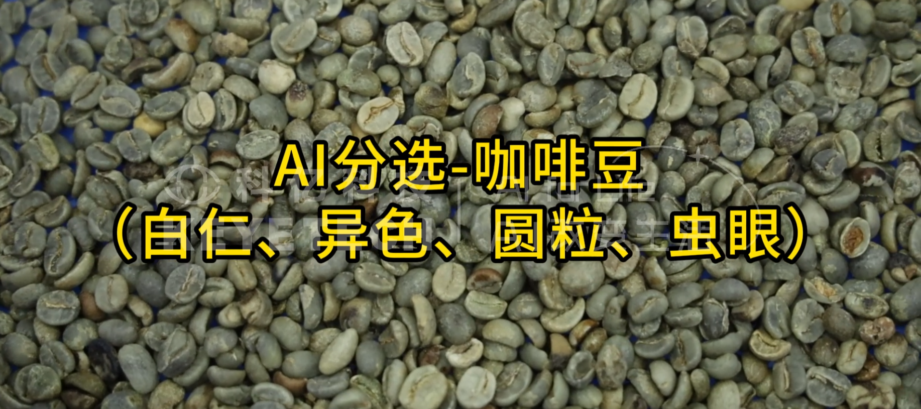AI立式智能分选机-咖啡豆（圆粒、白仁、虫眼）