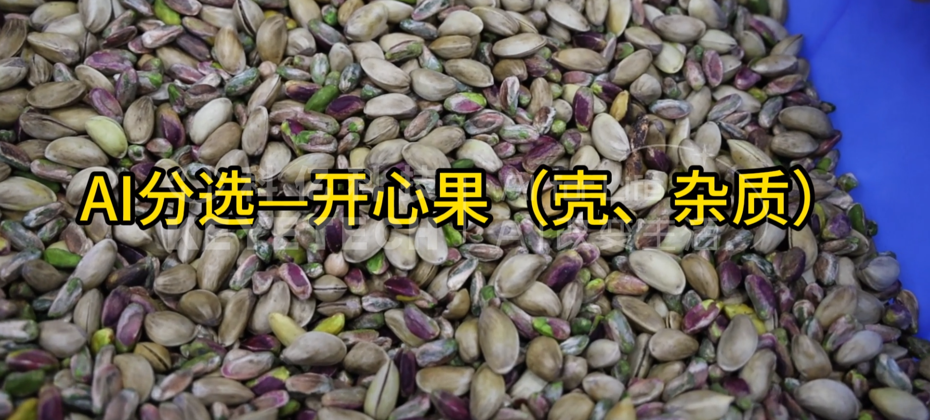 AI立式智能分选机-开心果（带壳、杂质）