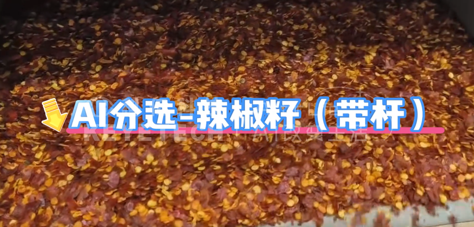 AI立式智能分选机-辣椒籽（带杆）