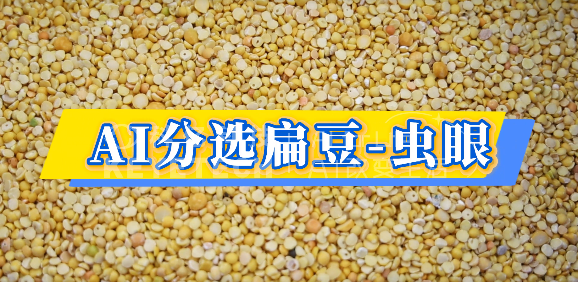 AI立式智能分选机-扁豆（虫眼）