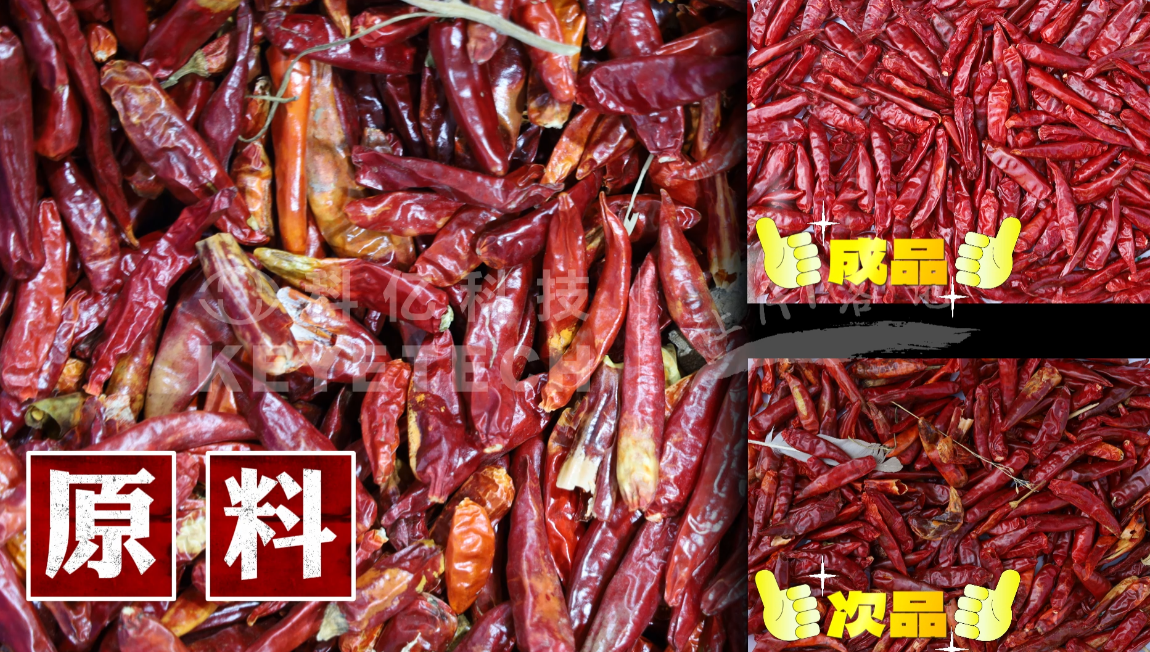 AI履带式分选机-干辣椒（羽毛、杂物、霉变、花皮）