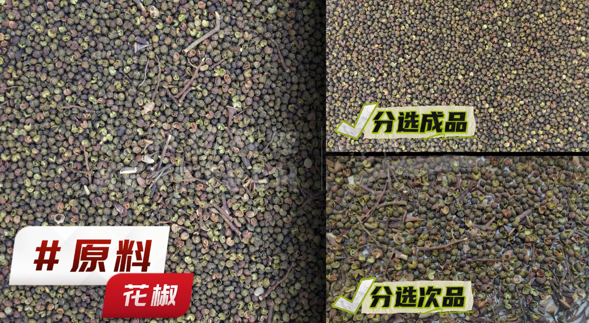 AI履带式分选机-花椒