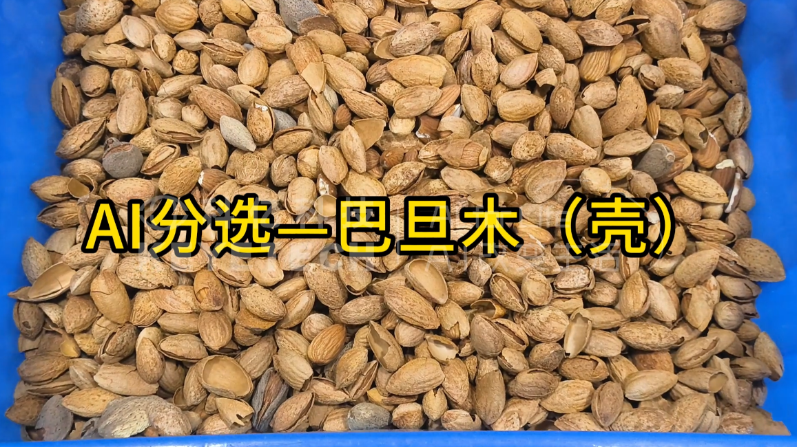 AI履带式智能分选机-巴旦木（壳）