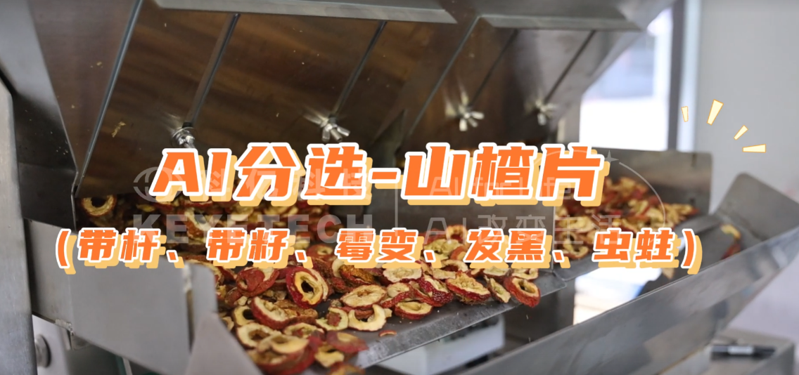 AI履带智能分选-山楂片（带杆、带籽、霉变、虫蛀、发黑）