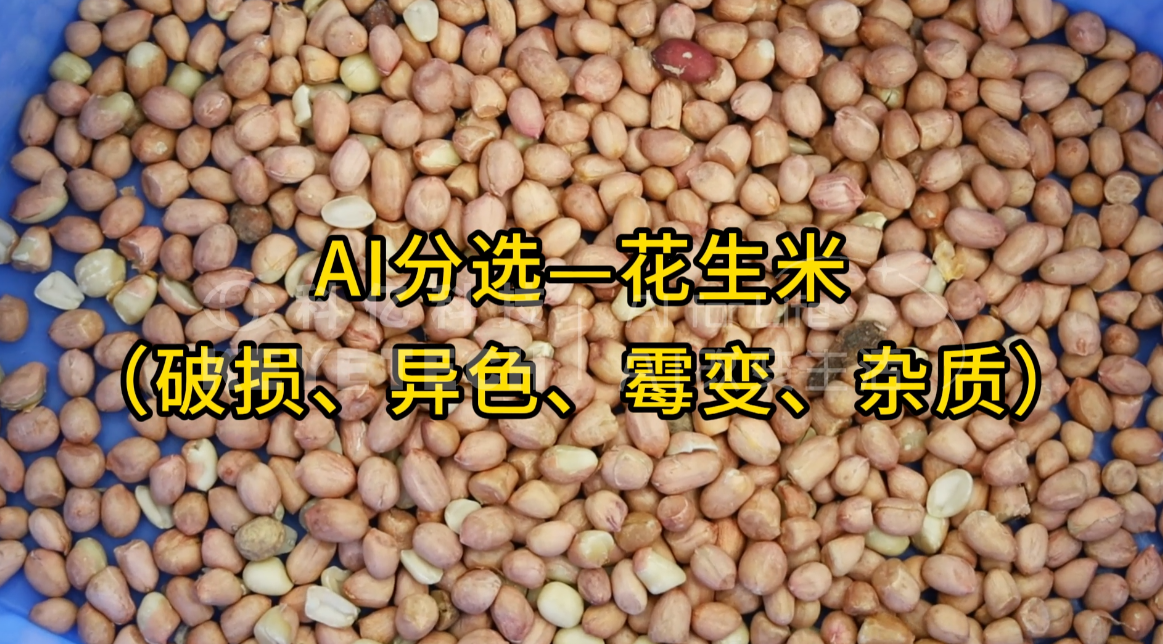 AI履带式分选机-花生