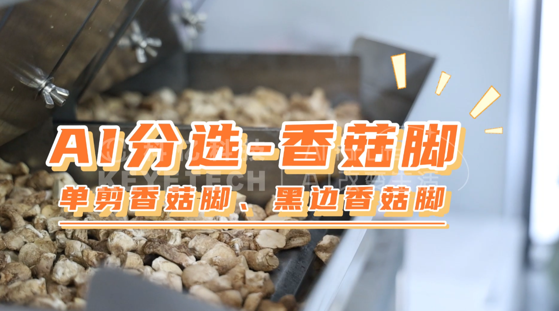 AI履带式智能分选-香菇脚