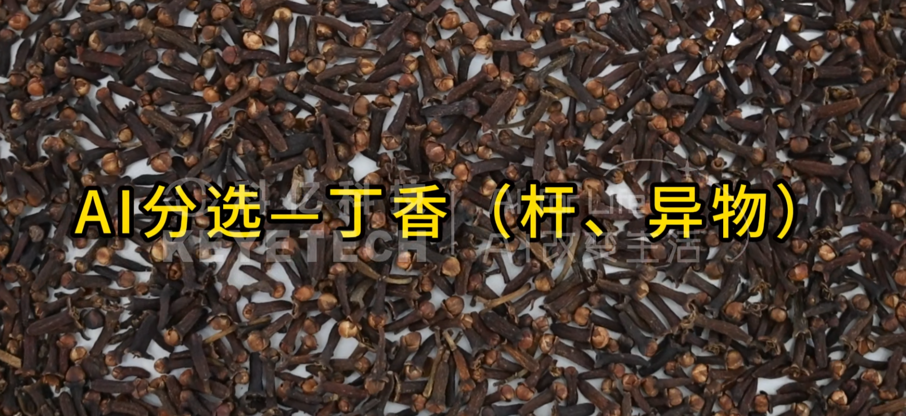 AI立式智能分选机-丁香