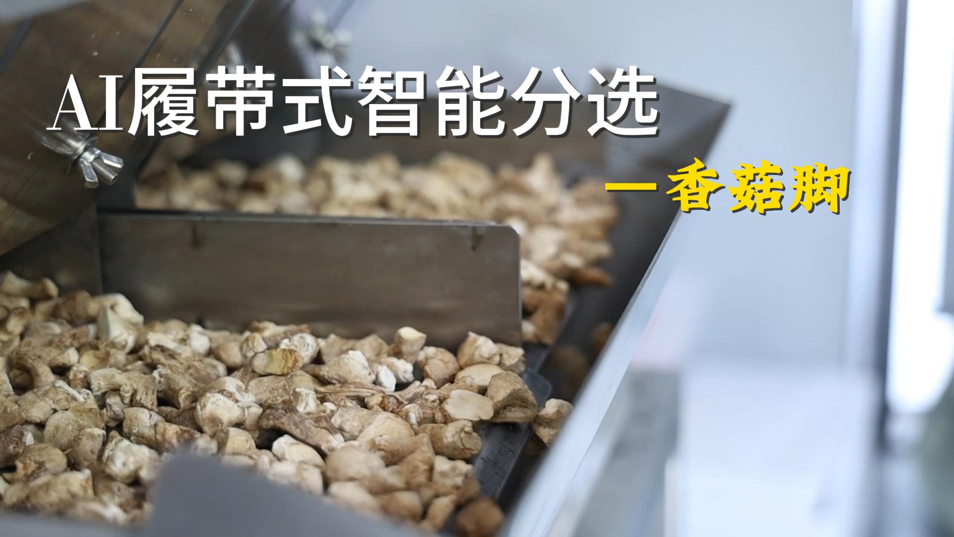 AI履带式智能分选-香菇脚