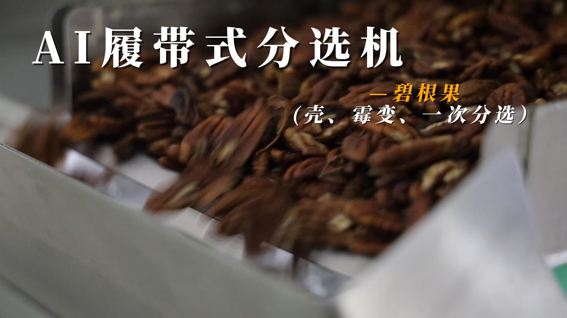 AI履带式分选机-碧根果（壳、霉变、一次分选）