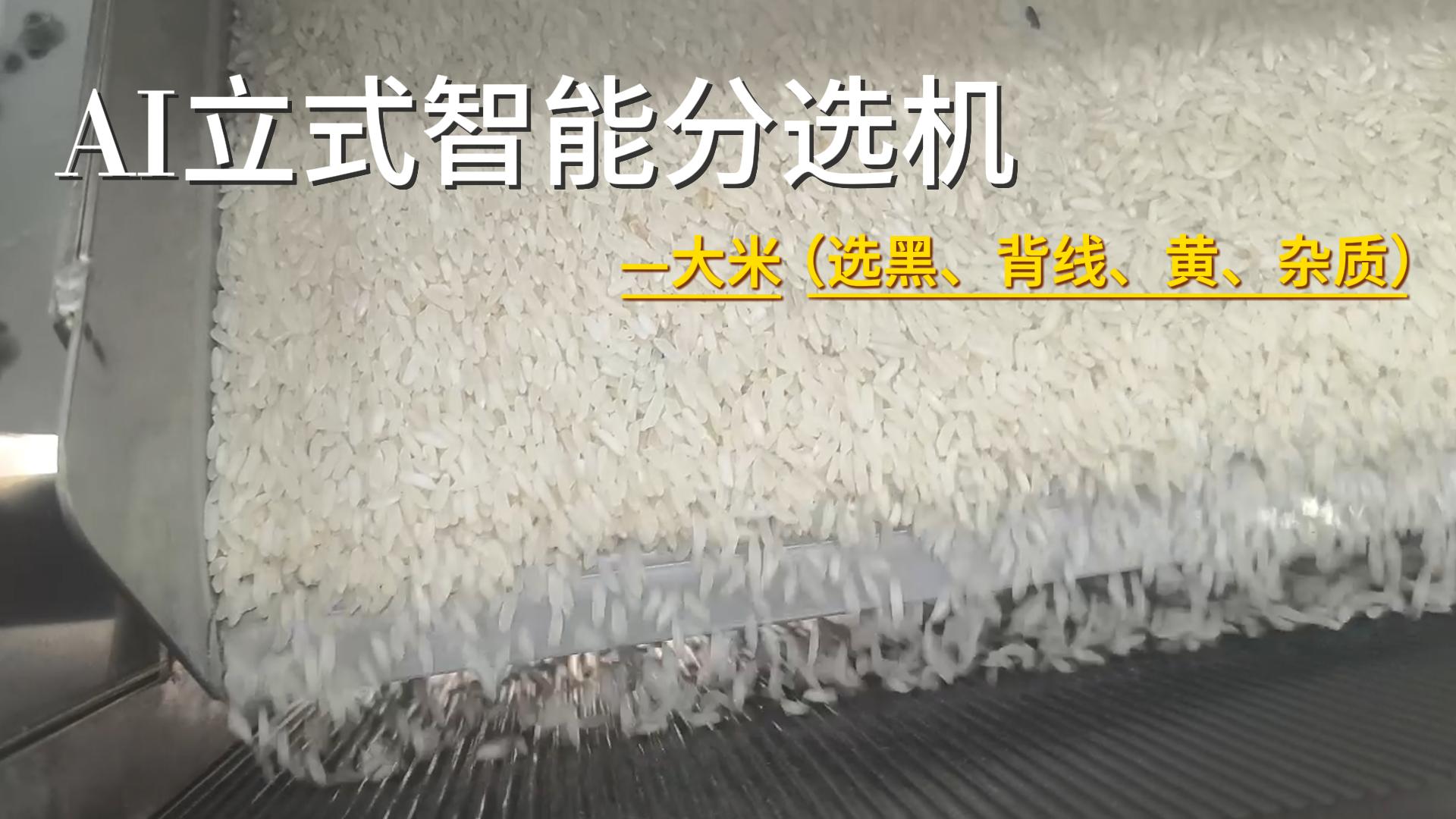 AI立式智能分选机-大米（选黑、背线、黄、杂质）