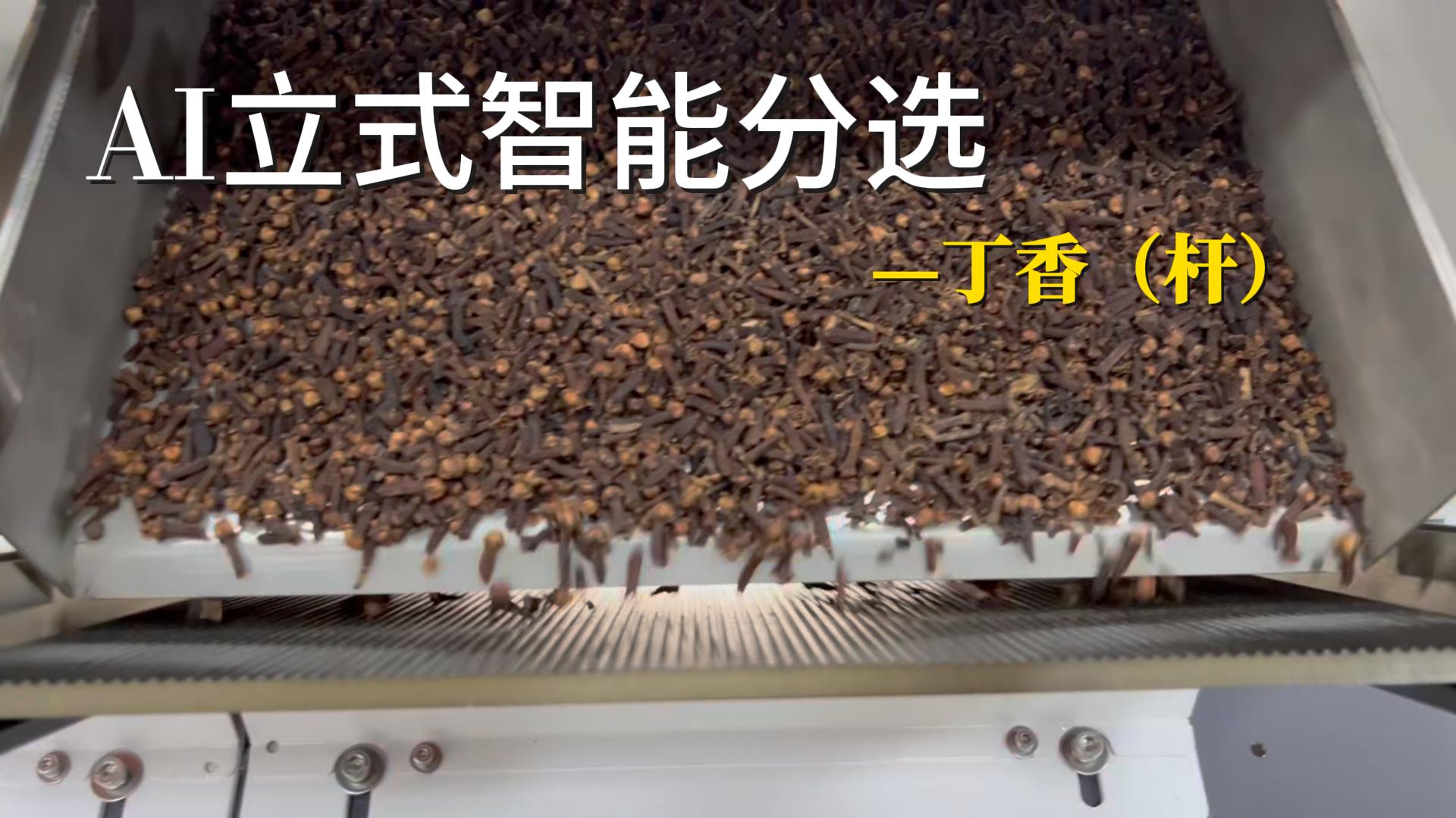 AI立式智能分选机-丁香