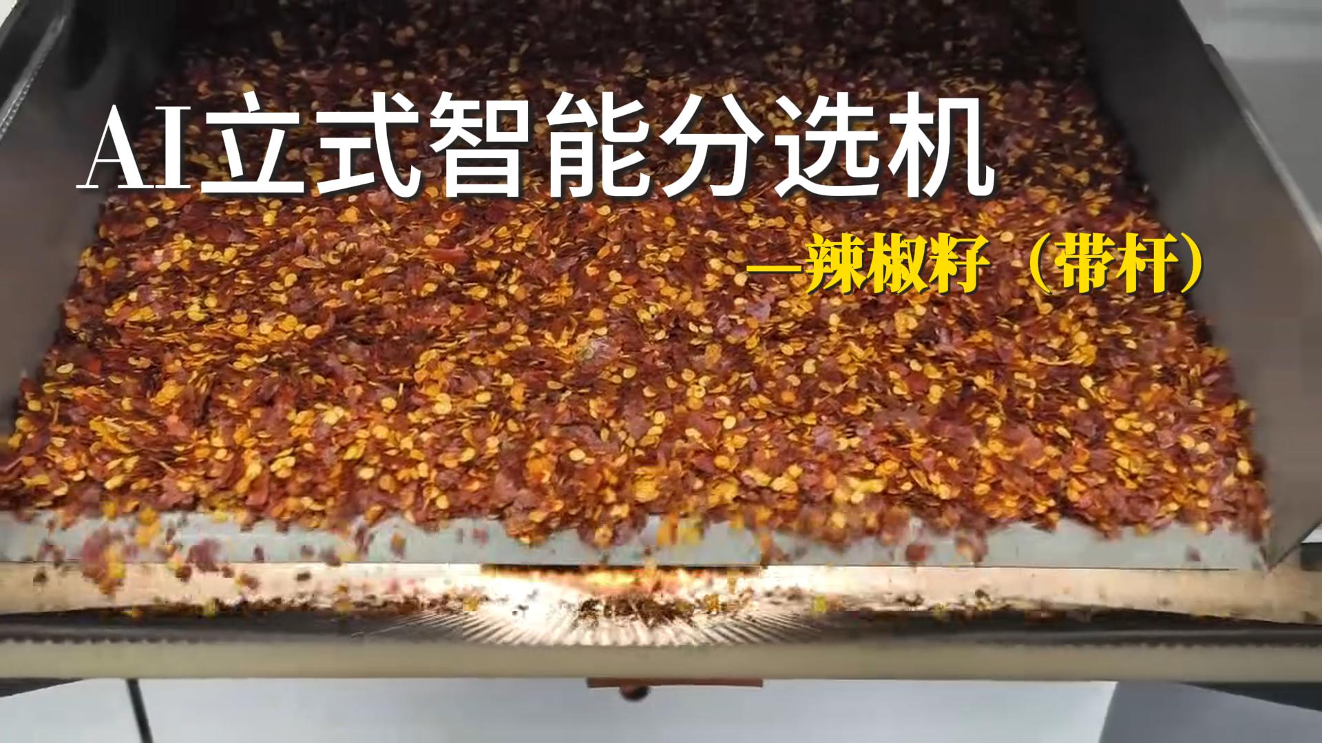 AI立式智能分选机-辣椒籽（带杆）