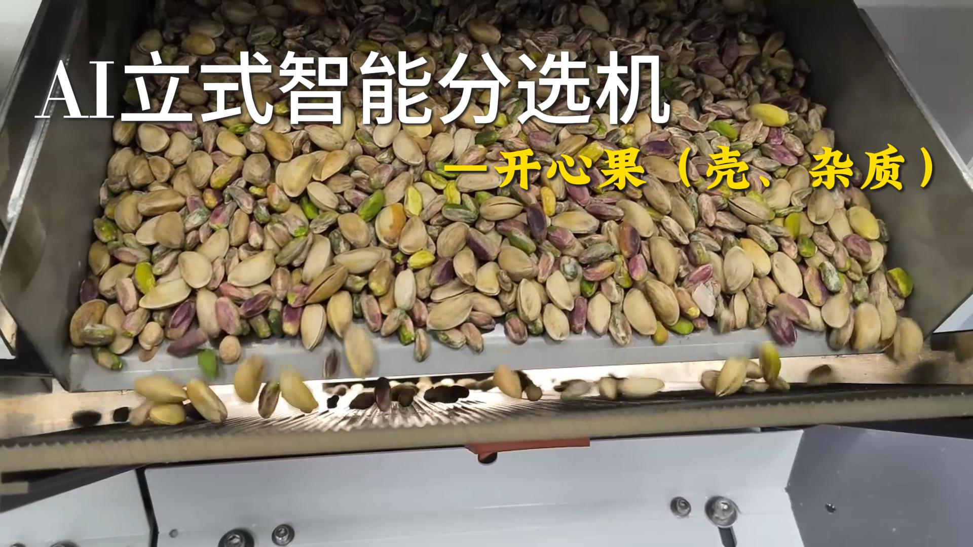 AI立式智能分选机-开心果（带壳、杂质）