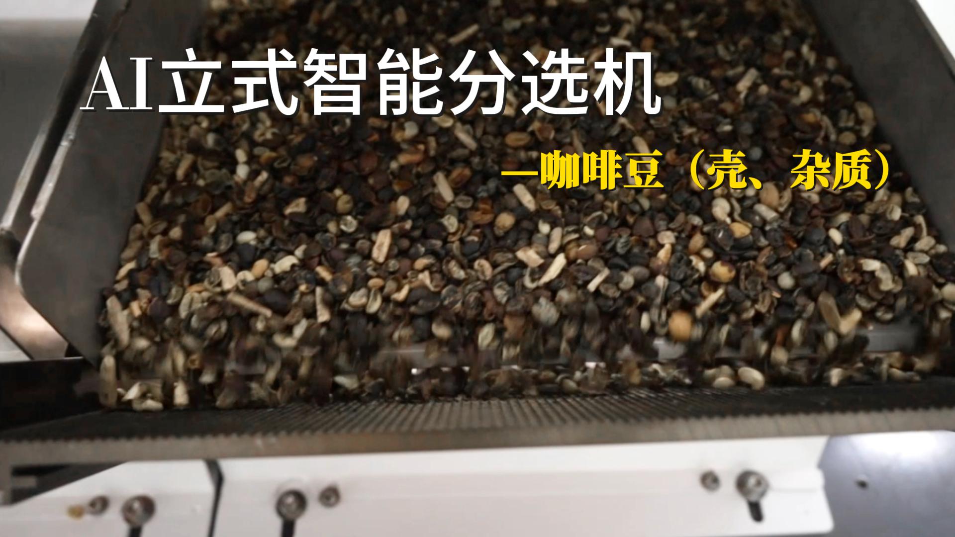 AI立式智能分选机-咖啡豆（壳、杂质）