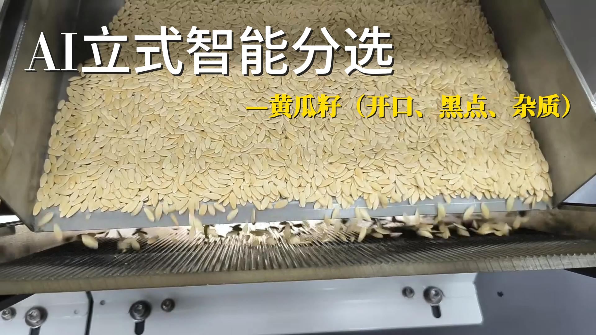 AI立式智能分选机-黄瓜籽（开口、黑点）