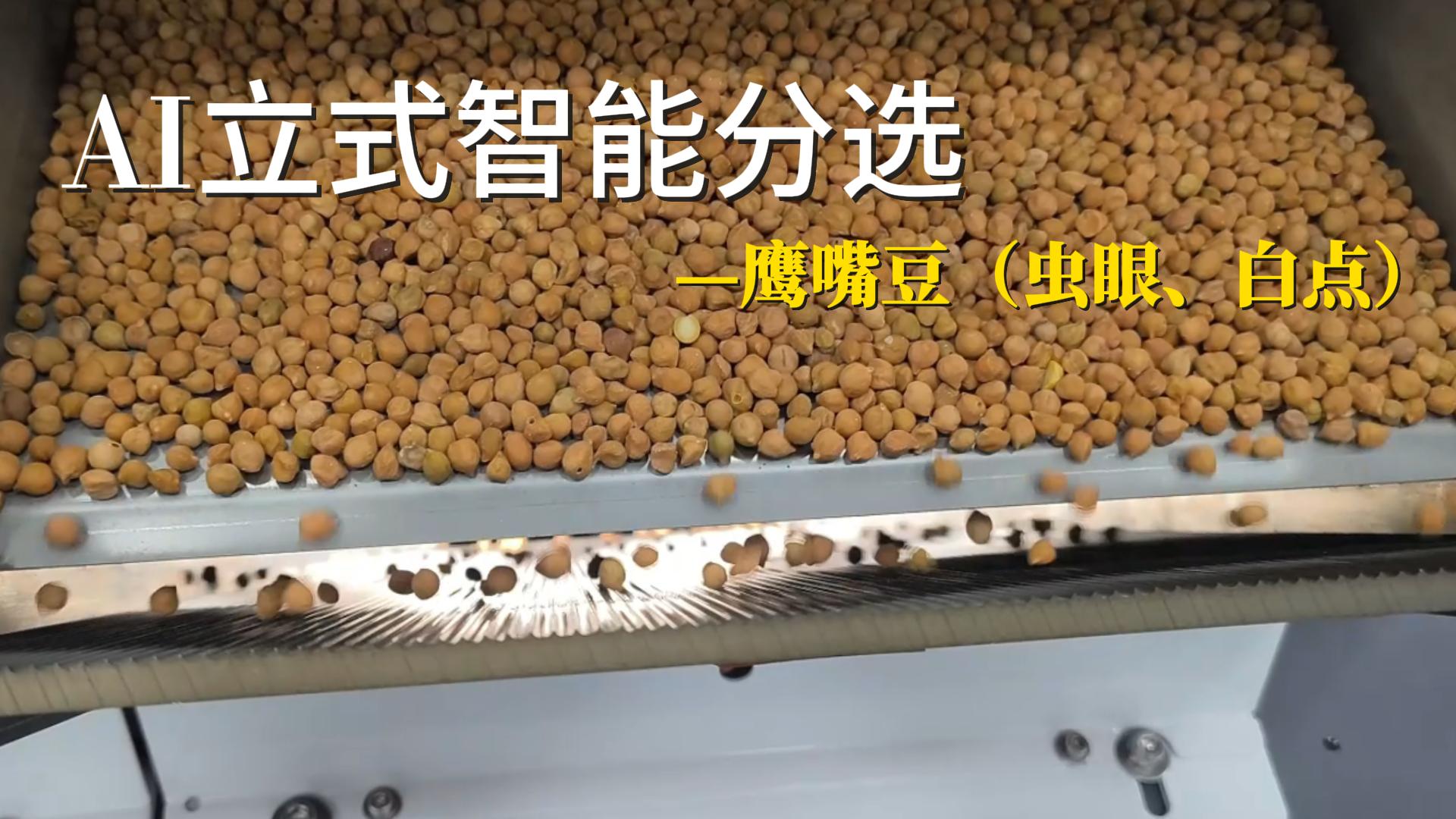 AI立式智能分选机-鹰嘴豆（虫眼、白点）