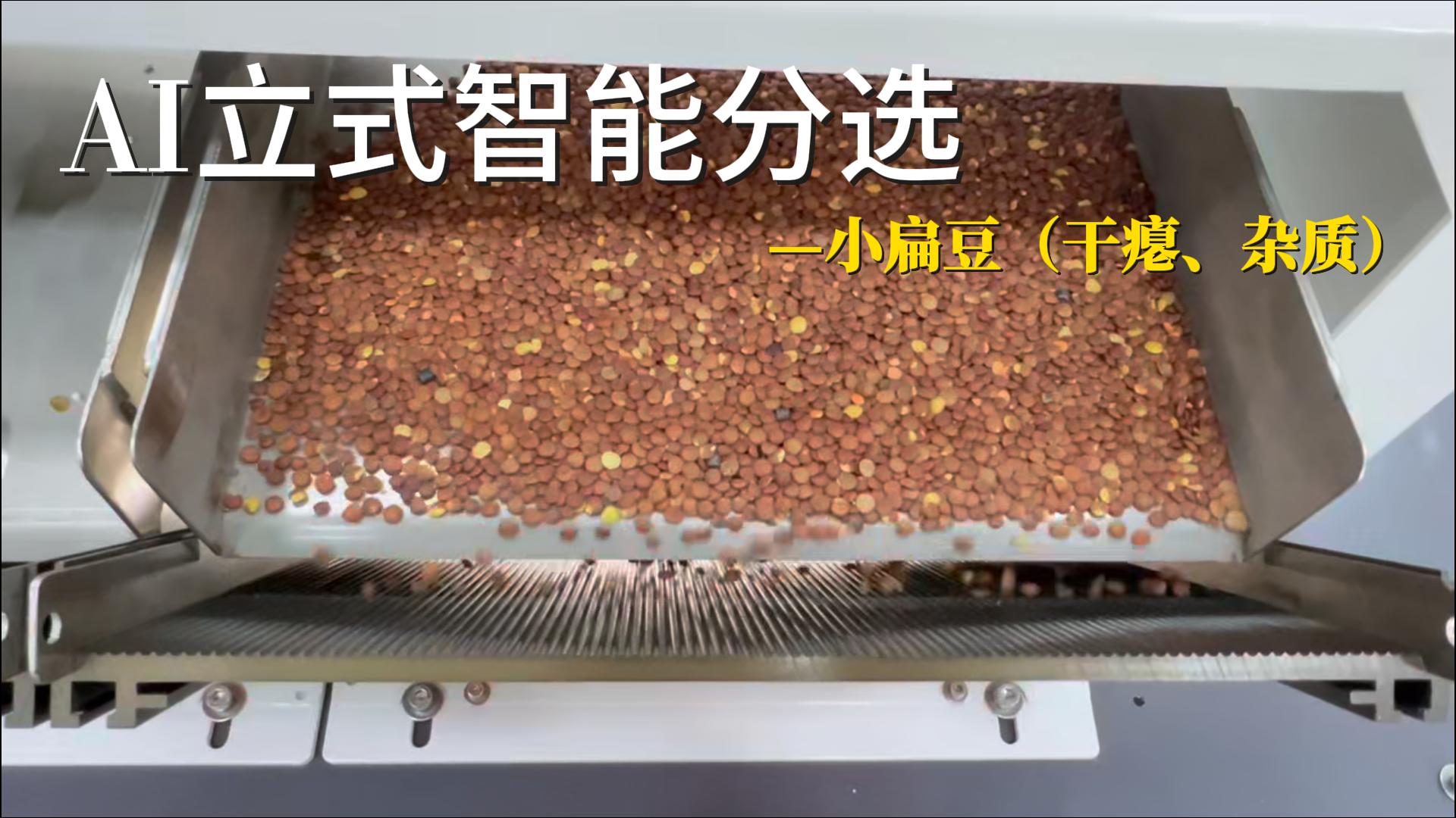 AI立式智能分选机-小扁豆（干瘪、杂质）