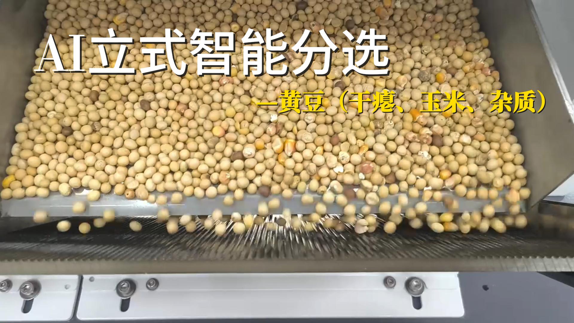 AI立式智能分选机-黄豆（干瘪、玉米、杂质）