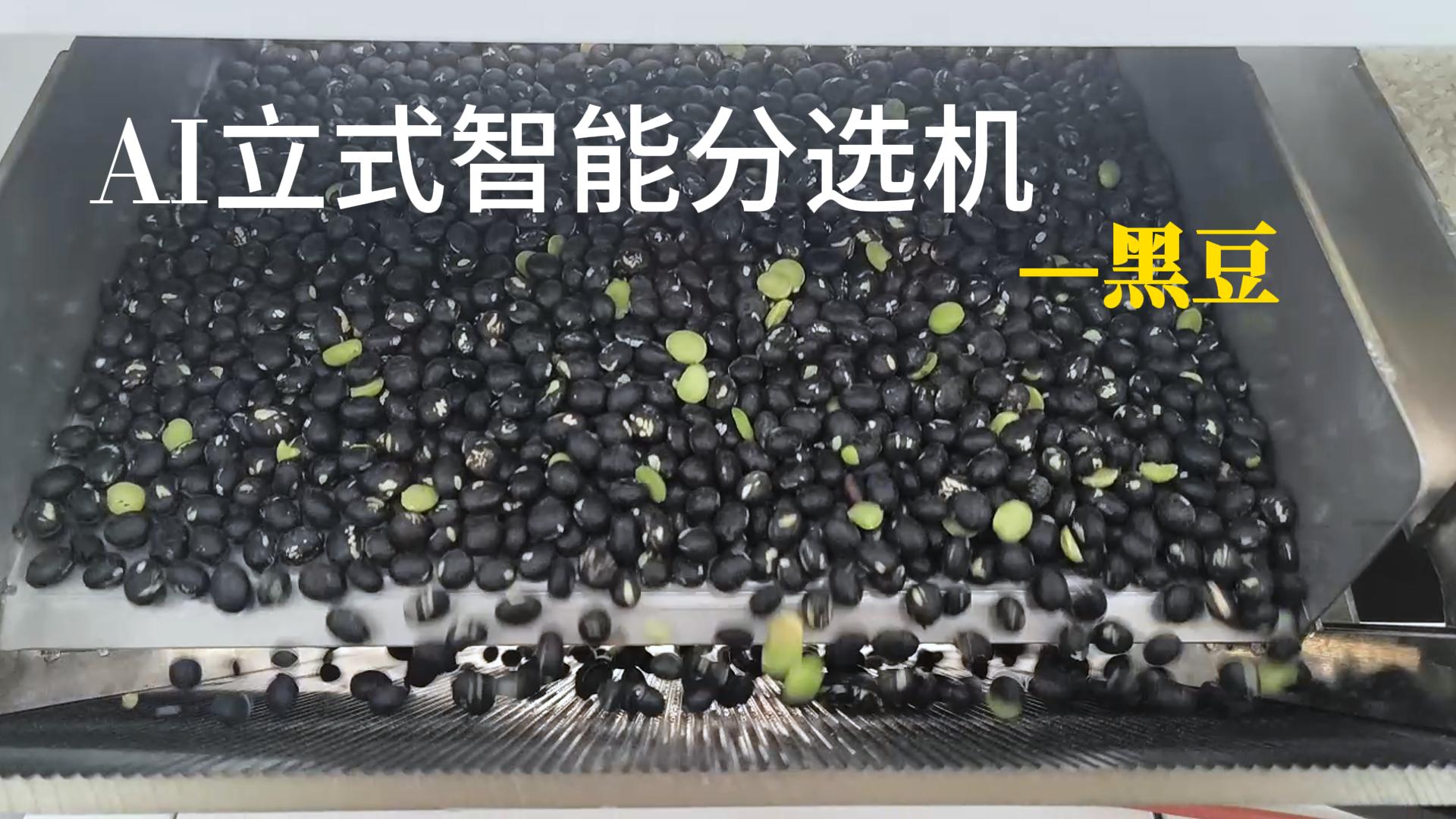 AI立式智能分选机-黑豆