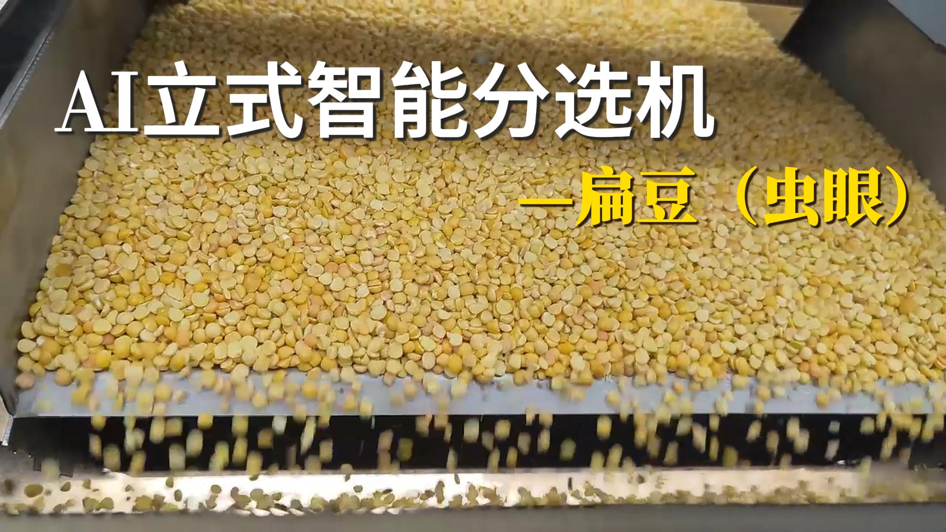AI立式智能分选机-扁豆（虫眼）