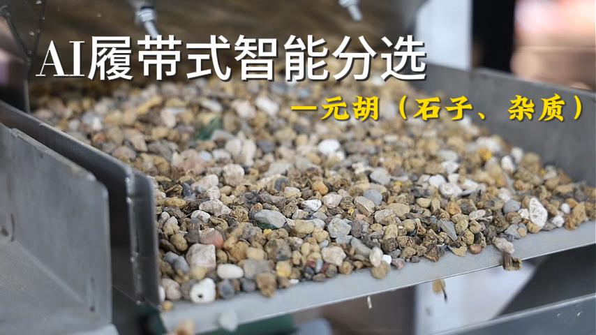 元胡
