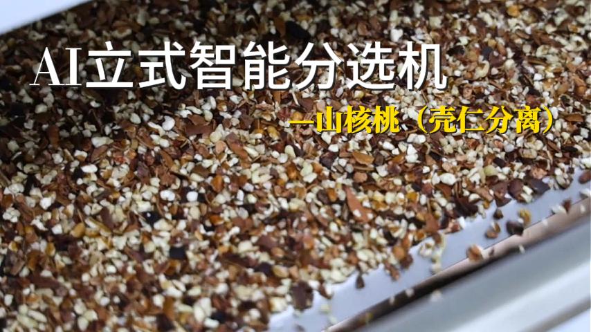 四路山核桃（壳仁分离）