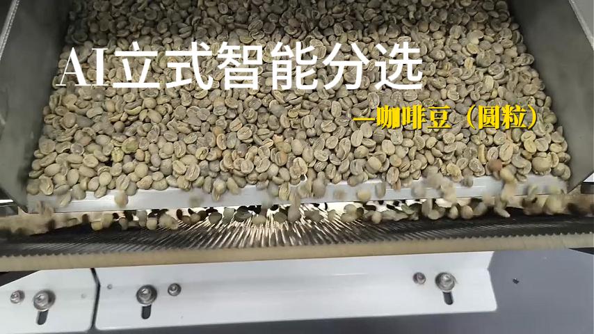 咖啡豆（圆粒）