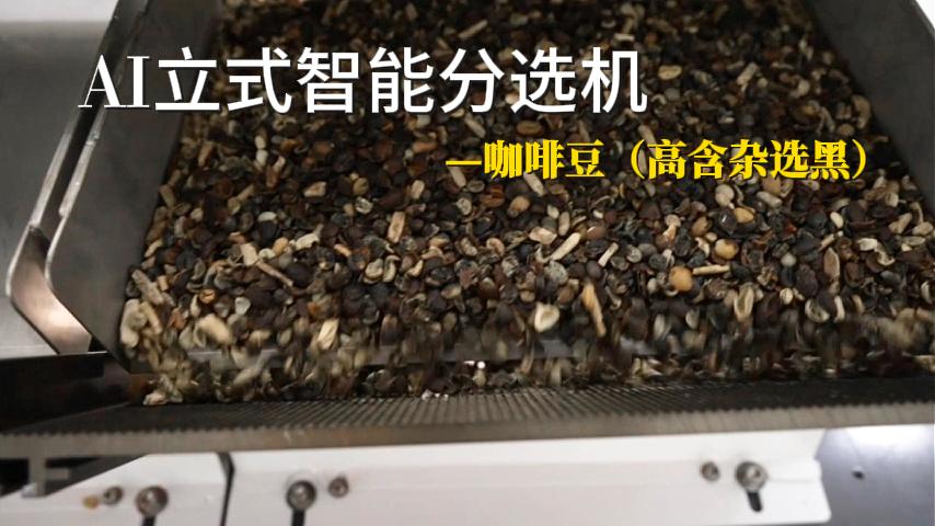 咖啡豆（高含杂选黑）