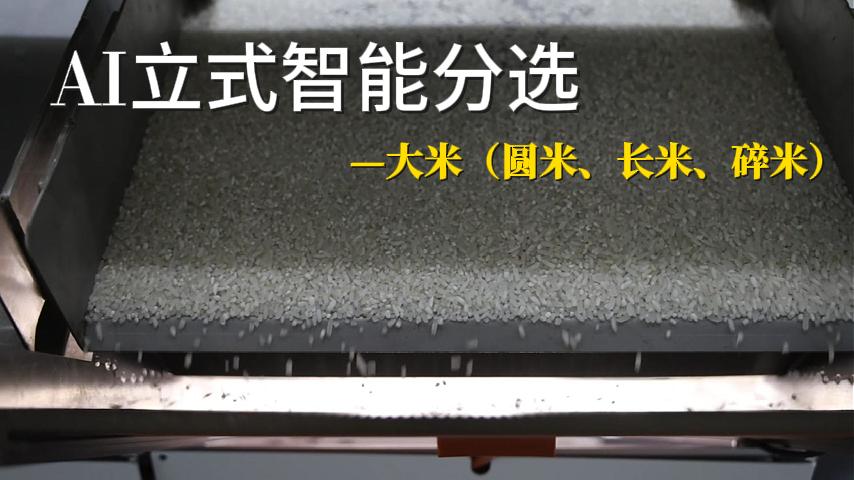 大米（长圆碎）