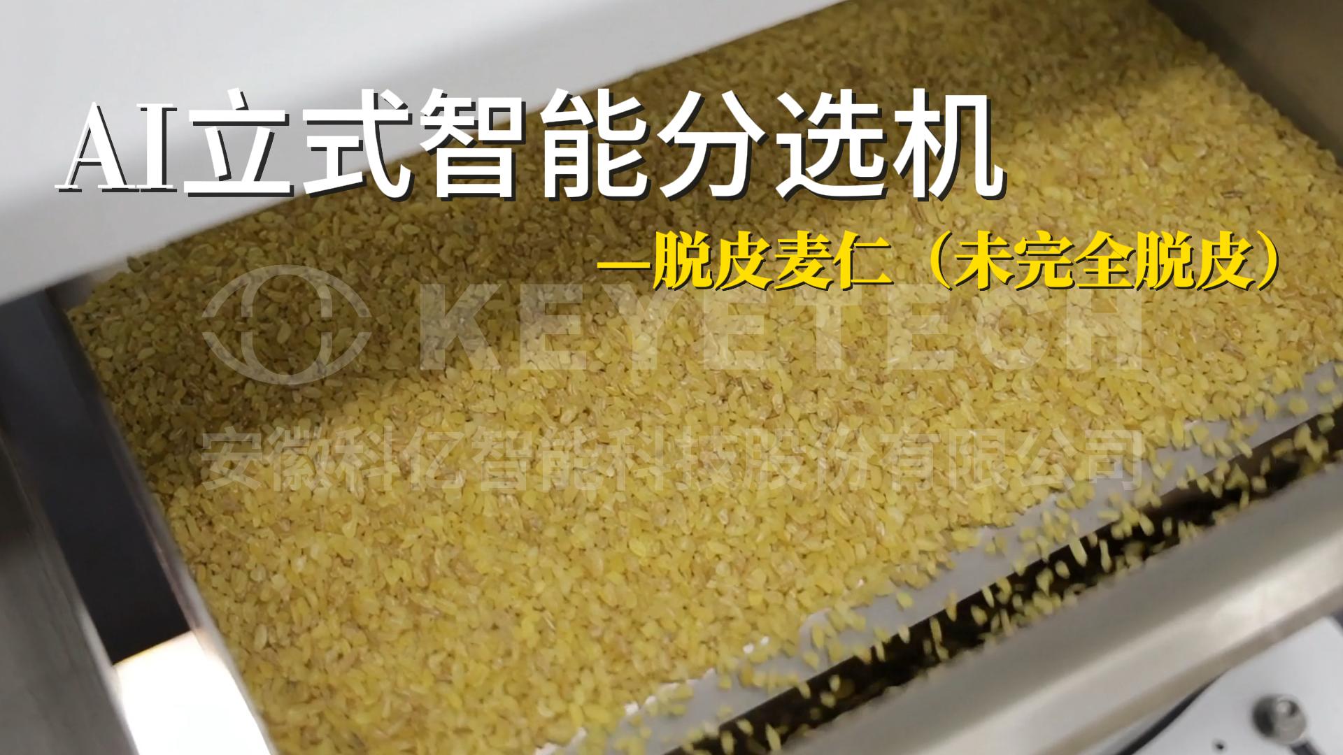 脱皮麦仁（未完全脱皮）