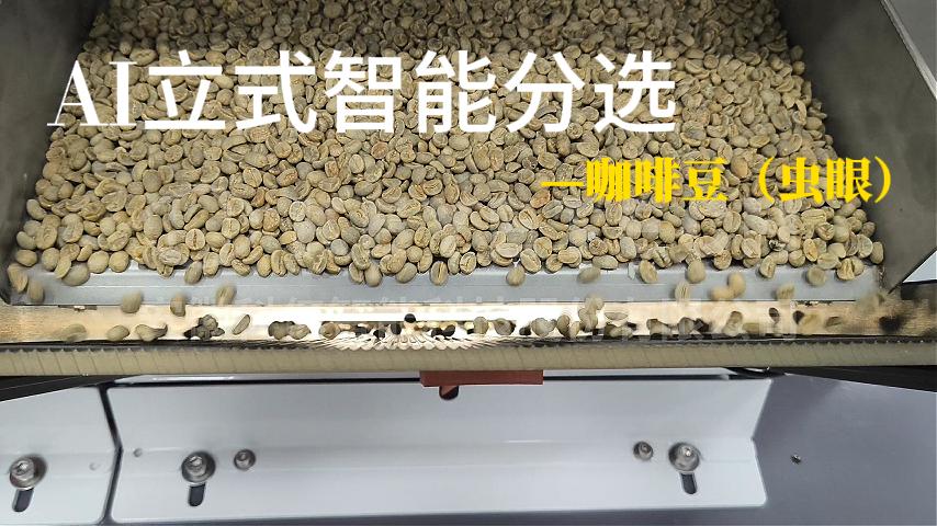 咖啡豆(虫眼）