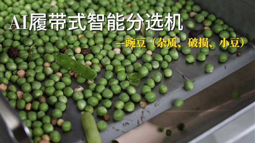 豌豆（杂质、破损、小豆）